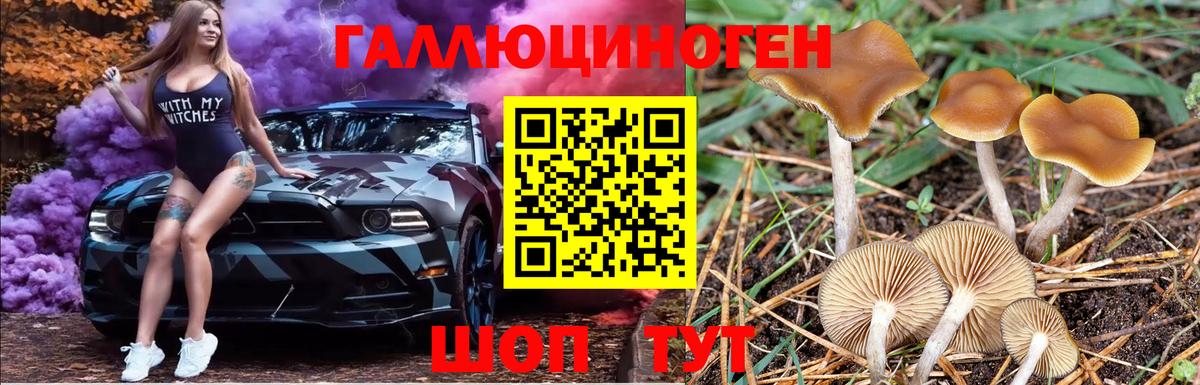 Псилоцибиновые грибы Magic Shrooms Трёхгорный